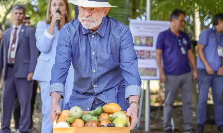 Lula: qualidade do agro é essencial para ampliar exportações