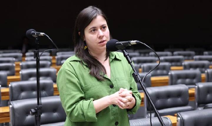 Projeto proíbe acesso a armas de fogo para quem responde por medida protetiva de urgência