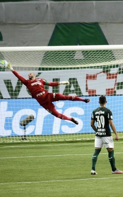 Voando nos campos e no Céu