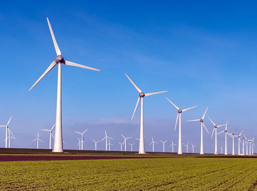 Complexo Eólico no Território do Sisal será operado 100% por mulheres