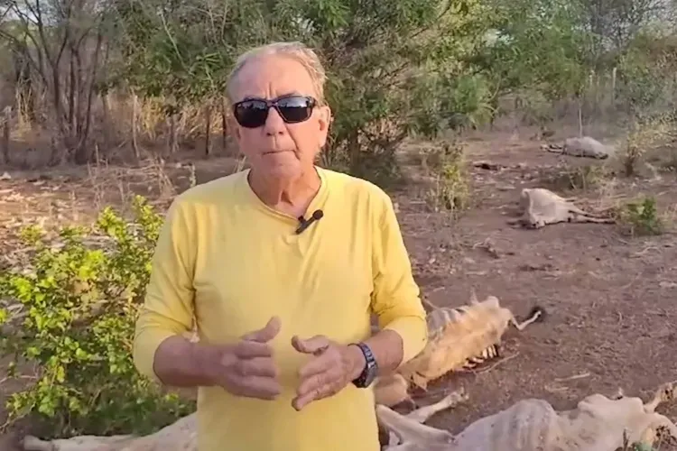 Seca: 'Estamos em guerra para salvar a nós e nossos animais', clama prefeito de Andaraí
