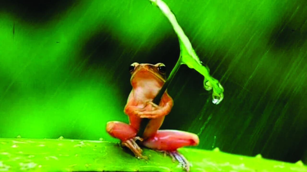 O erro de achar que a água cai do céu!