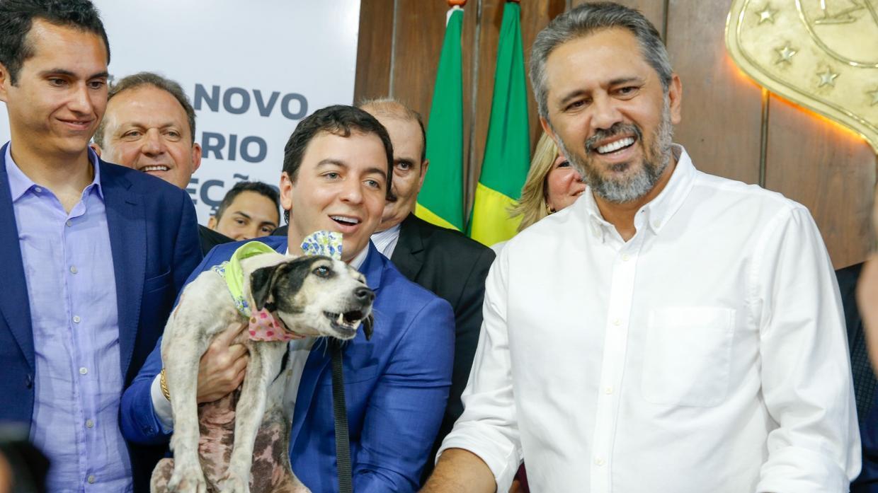 Após 14 dias de volta ao cargo, Célio Studart deixa secretaria de Proteção Animal.