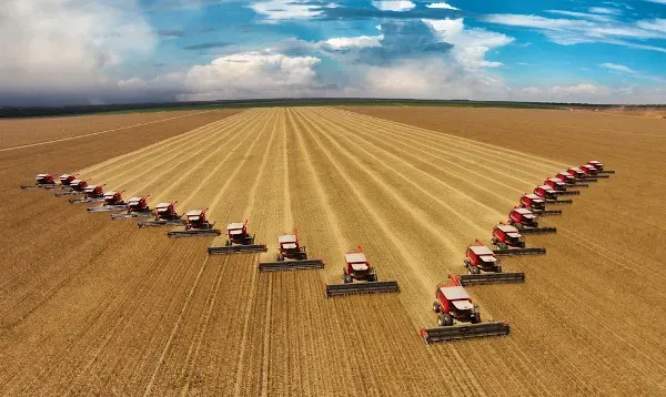 Governo Lula acena ao agro ao lançar linha de crédito para produtores endividados.